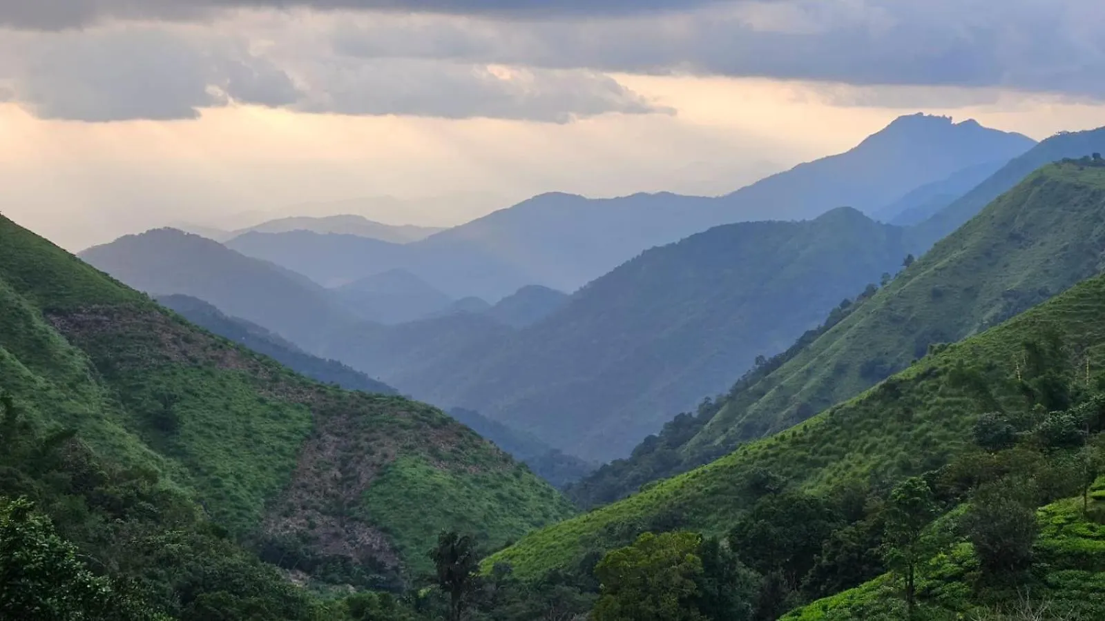 Drizzlemount Rooms And Homestay Vagamon